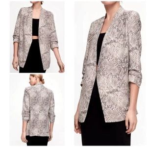 Babaton McCauley Jacket from Aritzia